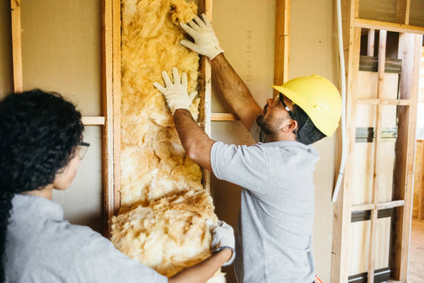 Types of Insulation We Offer in Concord, VA